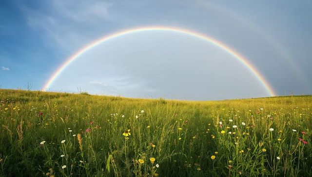 Enchanting rainbow arch over floral green meadow