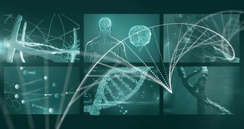 Futuristic Biotechnology Concept with DNA and Human Anatomy Elements - Download Free Stock Images Pikwizard.com