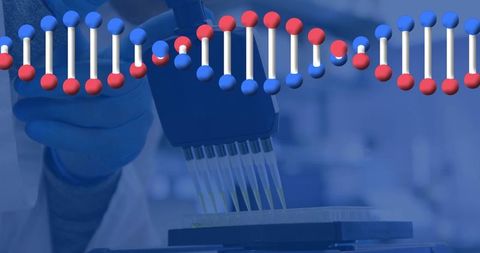 Multichannel pipette handling microplate with dna double helix overlay for biolab research