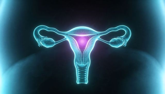 Neon 3d uterus anatomy illustration highlighting uterine core, fallopian tubes, ovaries