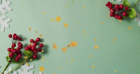 Holiday Decor With Berries and Golden Stars on Mint Background