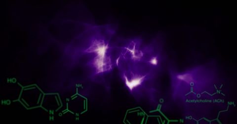 Visual Representation of Neuroscience Concepts