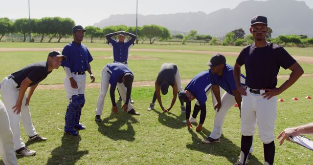 Baseball Players Stretching Before Practice on Sunny Day - Download Free Stock Images Pikwizard.com