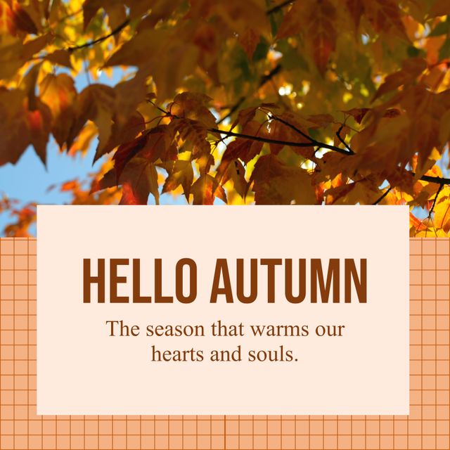 Hello Autumn Greeting with Vibrant Fall Leaves and Heartwarming Quote - Download Free Stock Templates Pikwizard.com