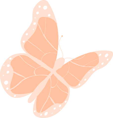 Elegant Peach-Pink Butterfly with Transparent Wings in Minimalist Style - Download Free Stock Videos Pikwizard.com