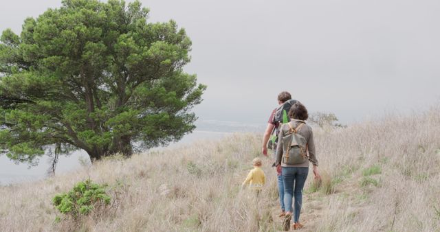 Family Hiking in Nature, Walking on Mountain Trail - Download Free Stock Images Pikwizard.com