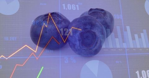 Blueberries overlaying financial charts representing food market trends and nutrition data