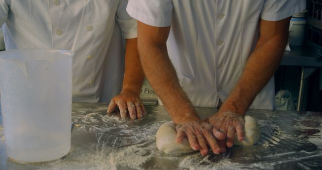 Bakers Kneading Dough on Floured Countertop in Bakery Kitchen - Download Free Stock Images Pikwizard.com