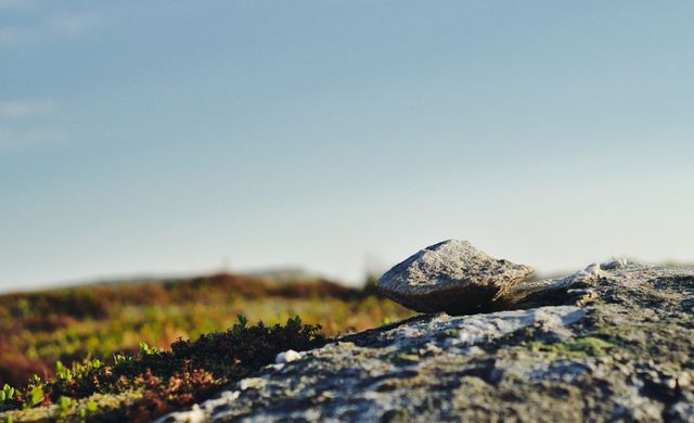 Rock lying on grassy heathland under a clear sky. Ideal for use in nature-themed articles, promotional materials for outdoor gear or travel destinations, and wallpapers representing tranquility and solitude.