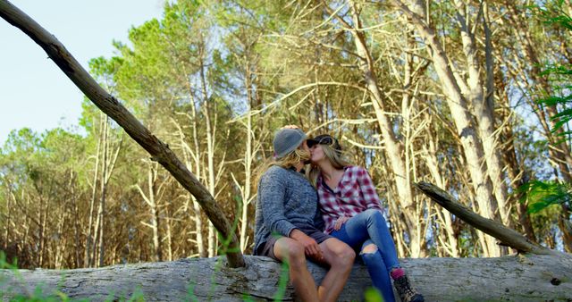 Couple wearing casual attire sitting on a fallen tree, sharing a kiss amidst a dense forest. Tall pine trees occupy the background, indicating a serene and natural environment. Ideal for themes related to love, romance, nature, outdoor activities, and peaceful getaways.
