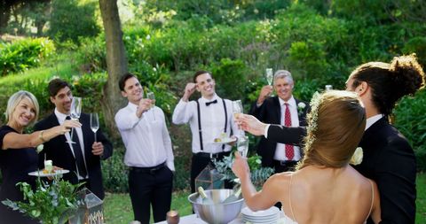Outdoor Celebration Toast at Elegant Gathering - Download Free Stock Images Pikwizard.com