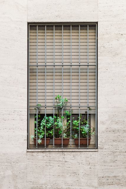 This displays potted plants behind window bars on a concrete wall, showcasing a small urban garden protected by security bars. Suitable for use in articles or advertisements related to indoor gardening, urban living, security measures, or architectural design.