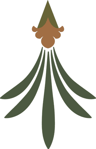 Minimalistic Ornament with Olive Leaves on Transparent Background - Download Free Stock Videos Pikwizard.com