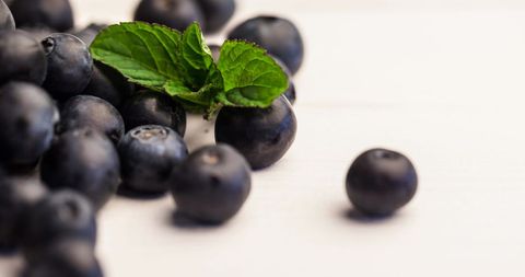 Fresh Blueberry and Green Leaves on White Background - Download Free Stock Images Pikwizard.com