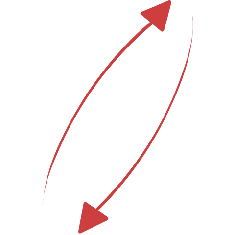 Red Arrow Pair Up and Down Transparent Background Illustration - Download Free Stock Videos Pikwizard.com