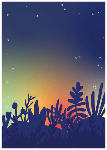 nature plants silhouette over starry sky on transparent background - Download Free Stock Videos Pikwizard.com