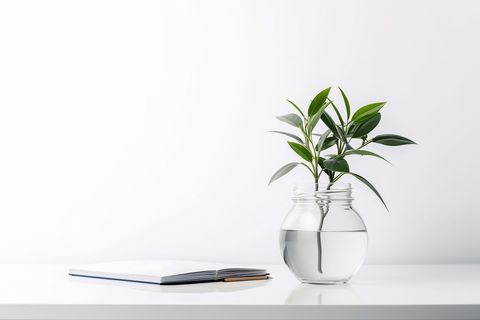 Open notebook and green plant in glass vase on white desk
