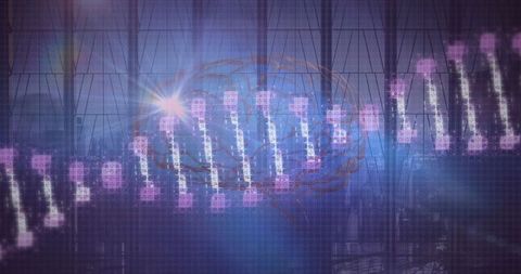 Digital DNA Helix with Brain Overlay in Futuristic Business Environment