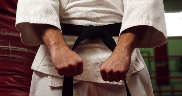 Karate Black Belt Martial Artist with Focus on Hands and Belt - Download Free Stock Images Pikwizard.com