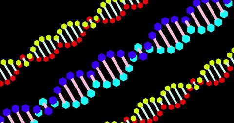 Colorful DNA Strands on Black Digital Background - Download Free Stock Images Pikwizard.com