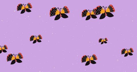 Colorful Butterflies Pattern on Purple Background - Download Free Stock Images Pikwizard.com