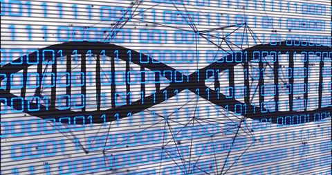 dna strand with binary code and digital connections - Download Free Stock Images Pikwizard.com