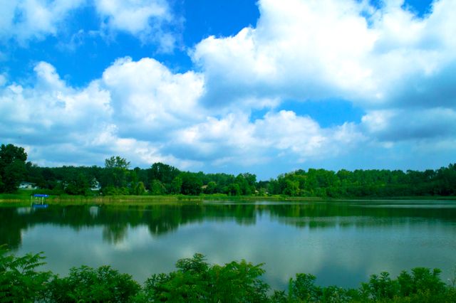 Image shows a quiet lake reflecting the blue sky and fluffy white clouds. Surrounding trees add to the serene atmosphere. Ideal for backgrounds, travel brochures, nature studies, or relaxation themes.