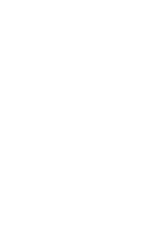 Digital White Circular Pattern on Transparent Background - Download Free Stock Videos Pikwizard.com
