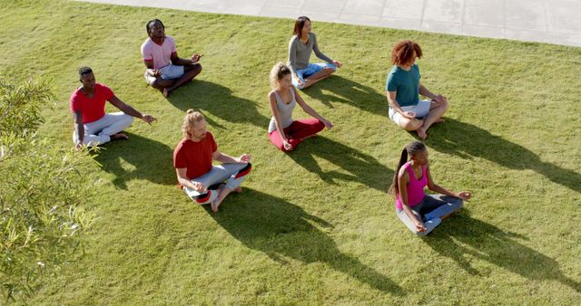 Diverse Group Practicing Outdoor Yoga for Relaxation - Download Free Stock Images Pikwizard.com