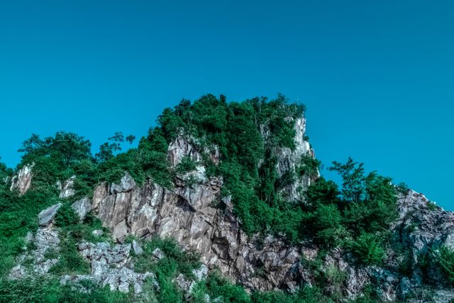 Depicts lush green foliage growing on a rocky, rugged mountain cliff under a clear blue sky. Suitable for use in nature-related content, scenic backgrounds, travel brochures, or outdoor adventure promotions.