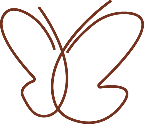 minimalist brown line butterfly illustration on transparent background - Download Free Stock Videos Pikwizard.com