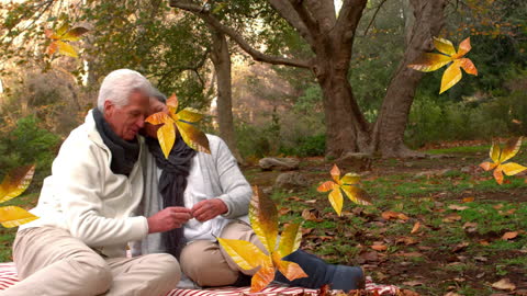 Elderly Couple Enjoying Autumn Picnic in Park with Falling Leaves