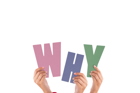 hands holding why text letters on transparent background - Download Free Stock Videos Pikwizard.com