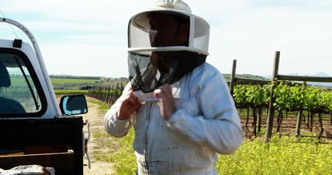 Beekeeper Preparing for Honey Harvest in a Lush Vineyard