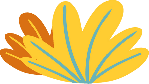 Transparent Botanical Floral Design with Yellow and Orange Petals