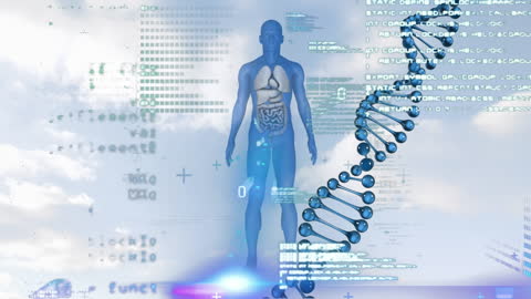 Conceptual Animation of DNA and Human Body with Data Visualization