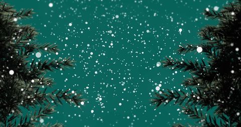 Falling Snowflakes Over Fir Branches on Green Background