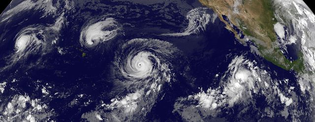 Spectacular satellite capture of four tropical cyclones over the North Western, Central, and Eastern Pacific Ocean by GOES-West on September 1, 2015. From left to right, Typhoon Kilo, Hurricane Ignacio, Hurricane Jimena, and Tropical Depression 14E present a vivid illustration of extreme weather events. Ideal for educational materials on climate systems, research on severe weather patterns, media coverage on natural disasters, and publications discussing global weather phenomena.