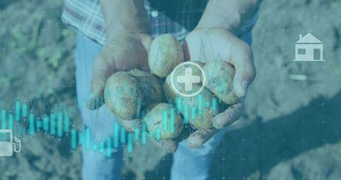 Farmer holding freshly harvested potatoes with digital agriculture data overlay