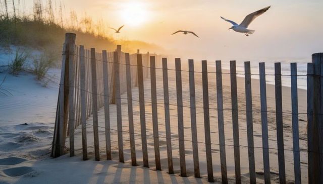 Seagulls soaring over sunrise dune fence casting long shadows on quiet beach