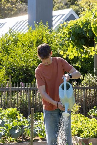 Teenage male watering raised vegetable beds with blue can in sunlit backyard garden