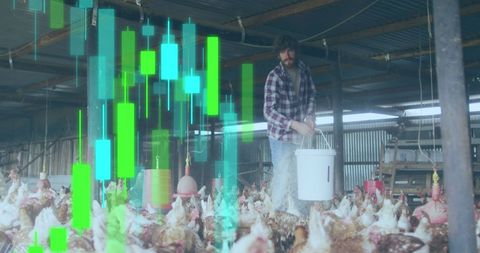 Financial Analysis Overlay on Farmer Feeding Chickens in Barn - Download Free Stock Images Pikwizard.com