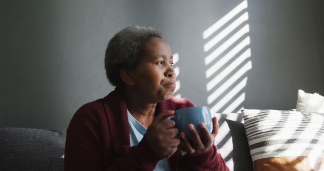 Contemplating Senior Woman Drinking Coffee on Couch with Sunlight - Download Free Stock Images Pikwizard.com