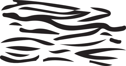 abstract wood grain black stripes on transparent background - Download Free Stock Videos Pikwizard.com
