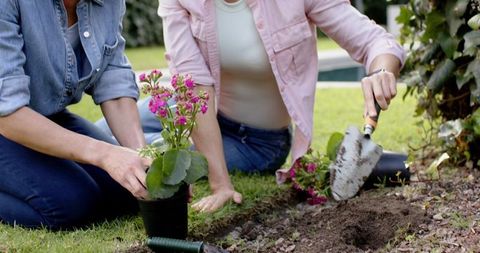 Two women kneeling and planting pink flowers in backyard garden near pool using hand trowel