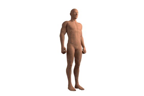 transparent digital composite of 3d human model reset - Download Free Stock Videos Pikwizard.com