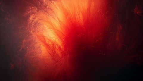 Glowing Crimson Filament Tuft Radiating Fine Fibers From Luminous Core Abstract Macro Texture
