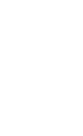 Transparent silhouette of female boxer kicking