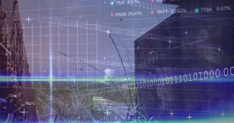 Binary Code Overlay on Digital Landscape Environment