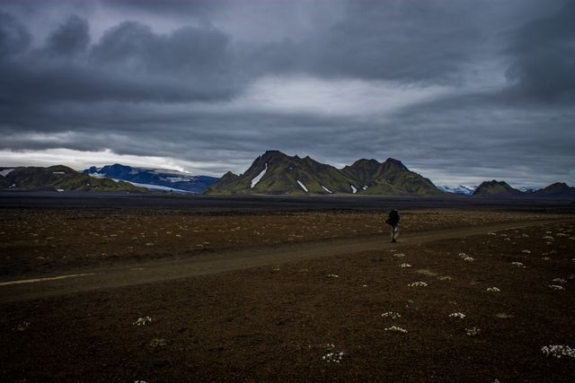 A solitary traveler is walking along a desolate mountain road under overcast skies. The rugged landscape, characterized by sparse vegetation and formidable mountains in the distance, sets a moody and adventurous tone. This image is perfect for use in travel blogs, adventure tourism promotions, or environmental explorations, conveying themes of solitude, exploration, and the rugged beauty of nature.